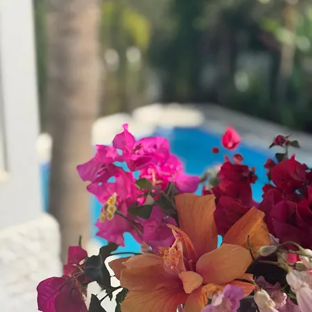 别墅 Villa Nerja 内尔哈